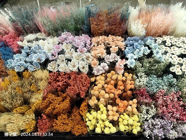 2024台北杜鵑花季|台北花季花IN台北,活動期:2024/