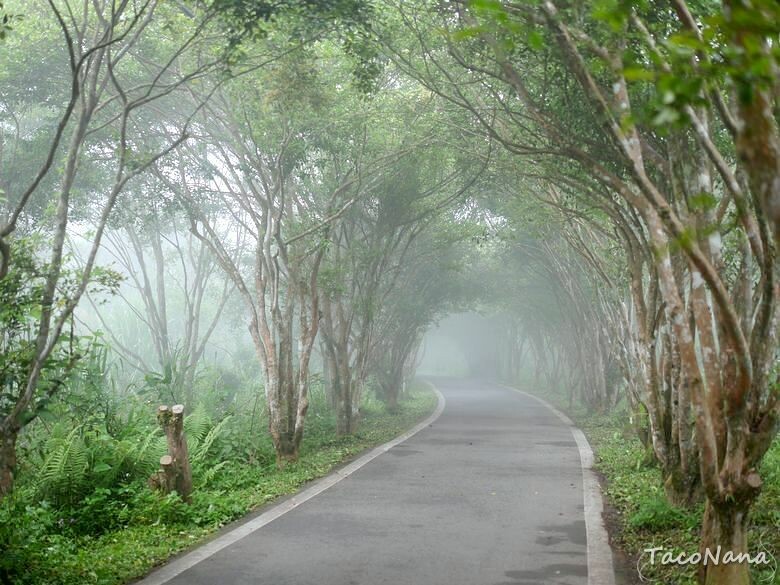 苗栗縣南庄鄉【苗栗】向天湖   賽夏族世代守護的聖地，環湖一圈只要25分鐘 ，感受仙境般的美。起霧真的是一瞬間的事。