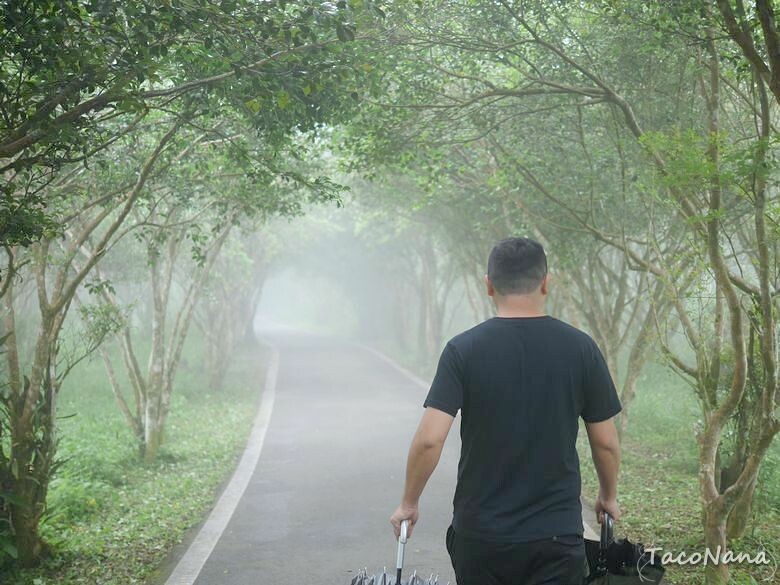 苗栗縣南庄鄉【苗栗】向天湖   賽夏族世代守護的聖地，環湖一圈只要25分鐘 ，感受仙境般的美。起霧真的是一瞬間的事。