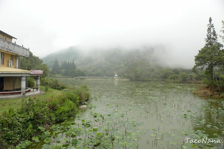苗栗縣南庄鄉【苗栗】向天湖   賽夏族世代守護的聖地，環湖一圈只要25分鐘 ，感受仙境般的美。起霧真的是一瞬間的事。