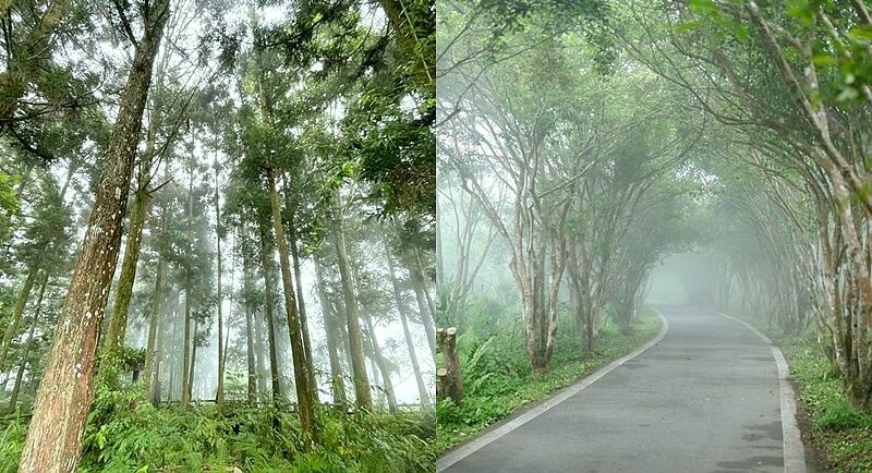 苗栗縣南庄鄉【苗栗】向天湖   賽夏族世代守護的聖地，環湖一圈只要25分鐘 ，感受仙境般的美。起霧真的是一瞬間的事。