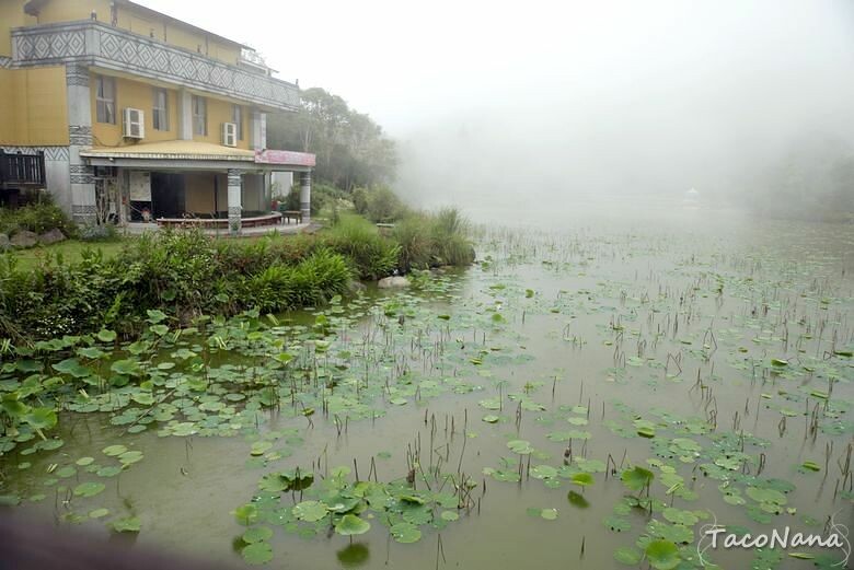 苗栗縣南庄鄉【苗栗】向天湖   賽夏族世代守護的聖地，環湖一圈只要25分鐘 ，感受仙境般的美。起霧真的是一瞬間的事。