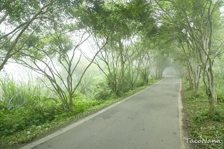 苗栗縣南庄鄉【苗栗】向天湖   賽夏族世代守護的聖地，環湖一圈只要25分鐘 ，感受仙境般的美。起霧真的是一瞬間的事。