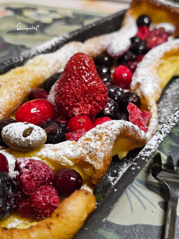 【廚房家電】Coz!i廚膳寶 直噴過熱水蒸氣 炙燒氣炸蒸烤爐