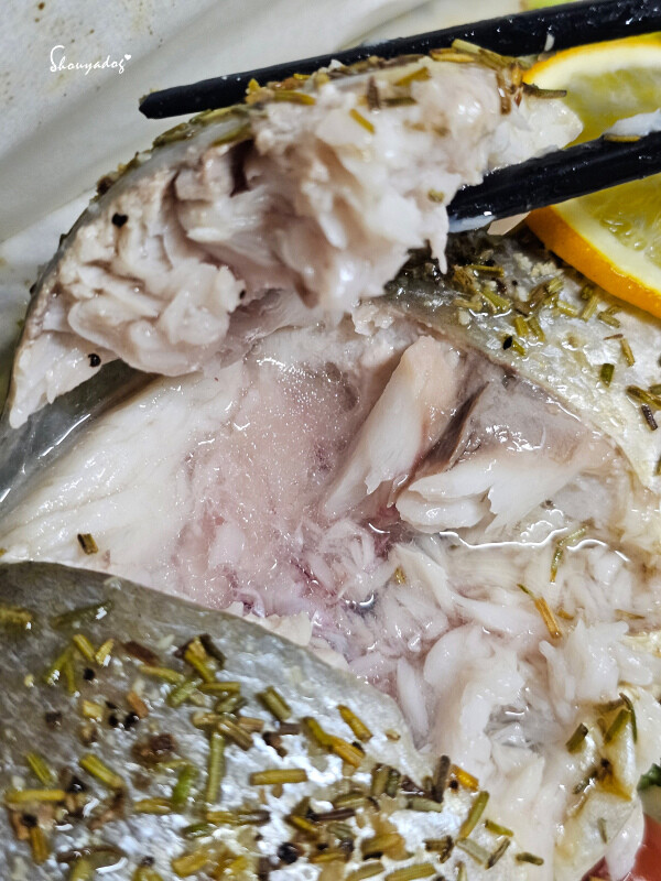 【廚房家電】Coz!i廚膳寶 直噴過熱水蒸氣 炙燒氣炸蒸烤爐