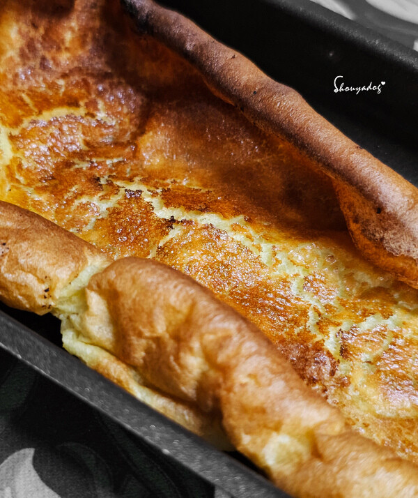 【廚房家電】Coz!i廚膳寶 直噴過熱水蒸氣 炙燒氣炸蒸烤爐