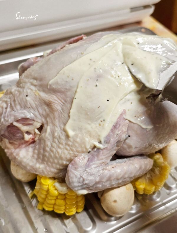 【廚房家電】Coz!i廚膳寶 直噴過熱水蒸氣 炙燒氣炸蒸烤爐