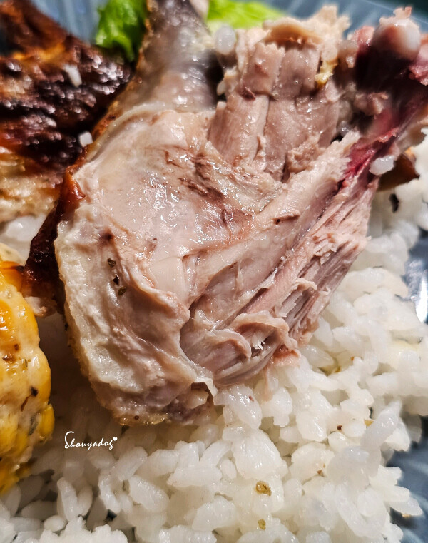 【廚房家電】Coz!i廚膳寶 直噴過熱水蒸氣 炙燒氣炸蒸烤爐