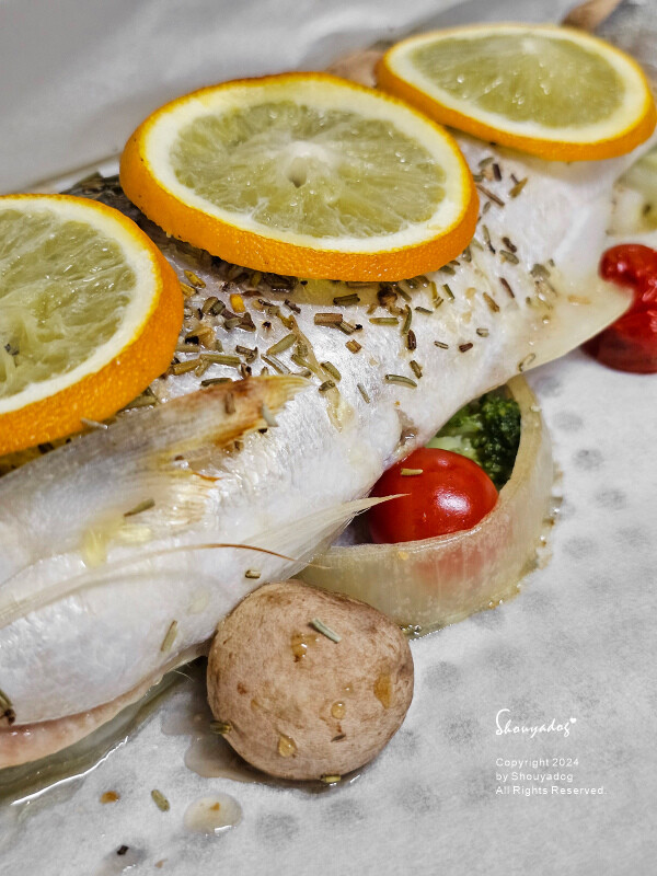 【廚房家電】Coz!i廚膳寶 直噴過熱水蒸氣 炙燒氣炸蒸烤爐