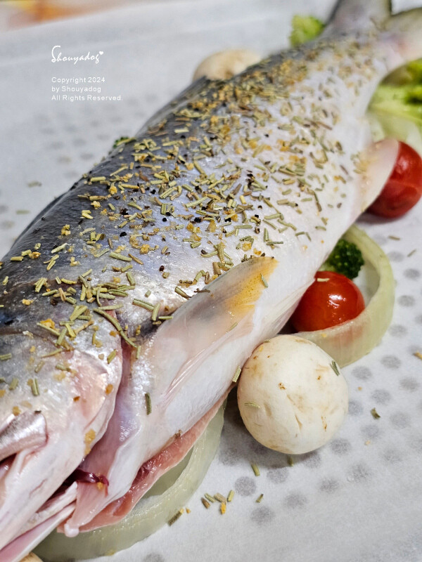 【廚房家電】Coz!i廚膳寶 直噴過熱水蒸氣 炙燒氣炸蒸烤爐