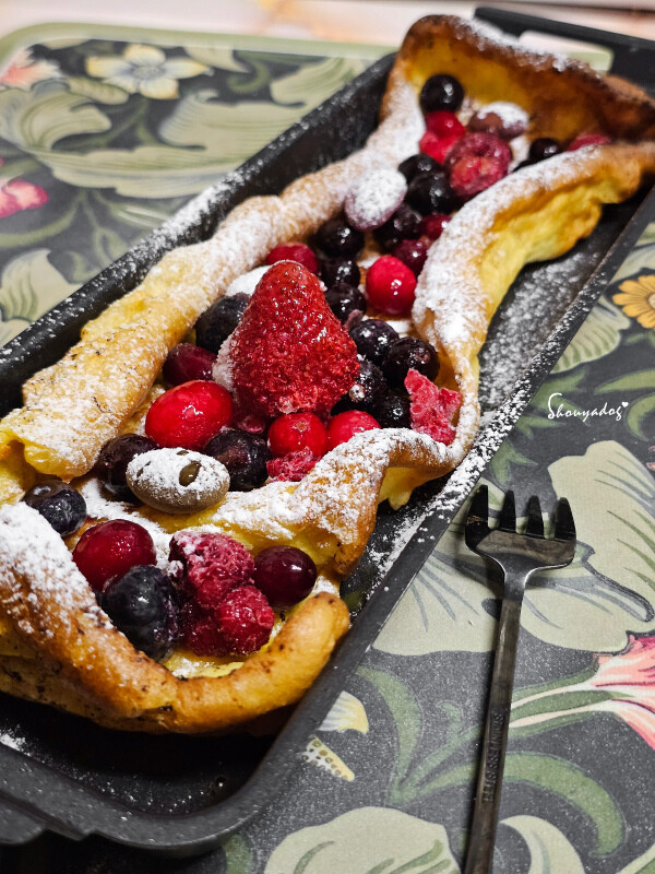 【廚房家電】Coz!i廚膳寶 直噴過熱水蒸氣 炙燒氣炸蒸烤爐