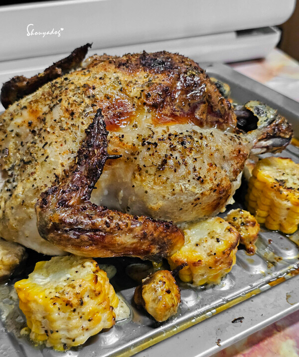 【廚房家電】Coz!i廚膳寶 直噴過熱水蒸氣 炙燒氣炸蒸烤爐