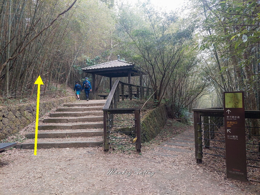 【雲嘉18連峰】嘉義雲林40K大縱走，必拍超美高山茶園。樟腦寮起登。補給點路線攻略。越野跑練習場 - 貪吃猴的幻想