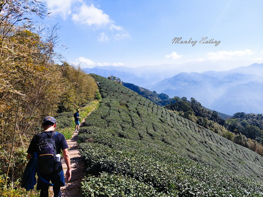 【雲嘉五連峰】漫步高山茶園的仙境小百岳,太平老街起登,連走太平山、梨子腳山、馬鞍山、二尖山、大尖山 - 貪吃猴的幻想