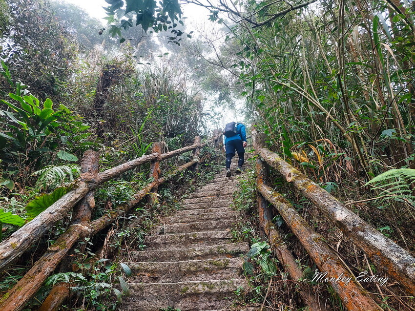 【雲嘉18連峰】嘉義雲林40K大縱走，必拍超美高山茶園。樟腦寮起登。補給點路線攻略。越野跑練習場 - 貪吃猴的幻想