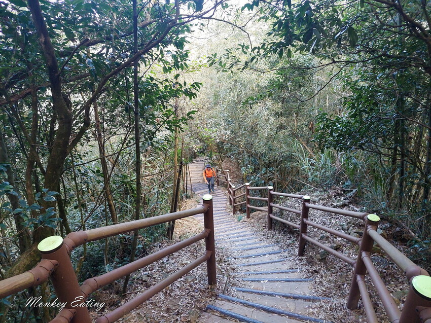 【雲嘉五連峰】漫步高山茶園的仙境小百岳,太平老街起登,連走太平山、梨子腳山、馬鞍山、二尖山、大尖山 - 貪吃猴的幻想
