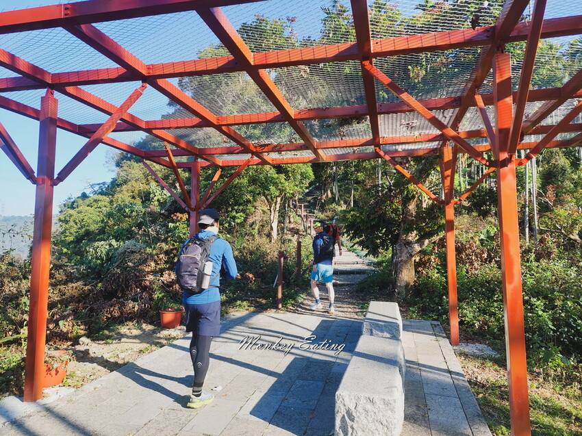 【雲嘉18連峰】嘉義雲林40K大縱走，必拍超美高山茶園。樟腦寮起登。補給點路線攻略。越野跑練習場 - 貪吃猴的幻想