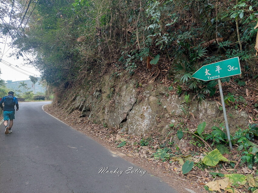 【雲嘉18連峰】嘉義雲林40K大縱走，必拍超美高山茶園。樟腦寮起登。補給點路線攻略。越野跑練習場 - 貪吃猴的幻想