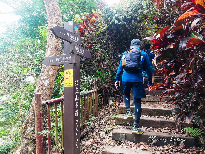 【雲嘉18連峰】嘉義雲林40K大縱走，必拍超美高山茶園。樟腦寮起登。補給點路線攻略。越野跑練習場 - 貪吃猴的幻想