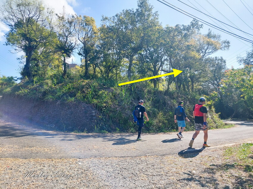 【雲嘉18連峰】嘉義雲林40K大縱走，必拍超美高山茶園。樟腦寮起登。補給點路線攻略。越野跑練習場 - 貪吃猴的幻想