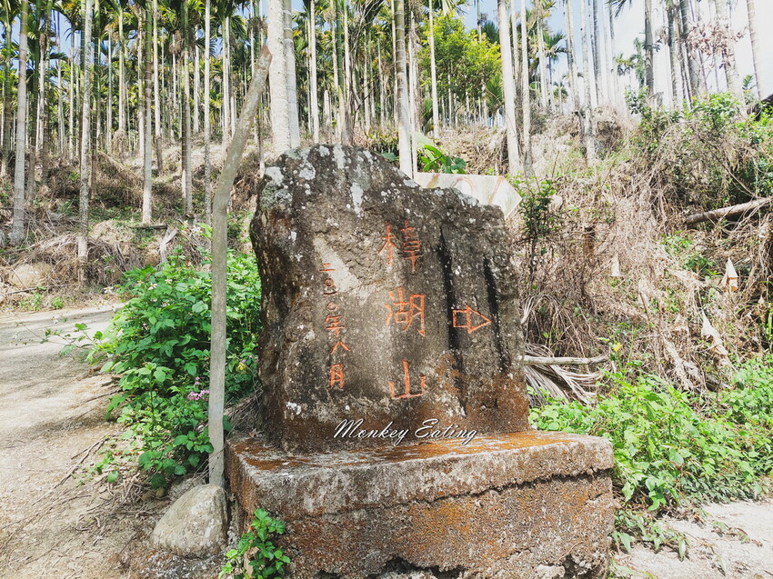【雲嘉18連峰】嘉義雲林40K大縱走，必拍超美高山茶園。樟腦寮起登。補給點路線攻略。越野跑練習場 - 貪吃猴的幻想
