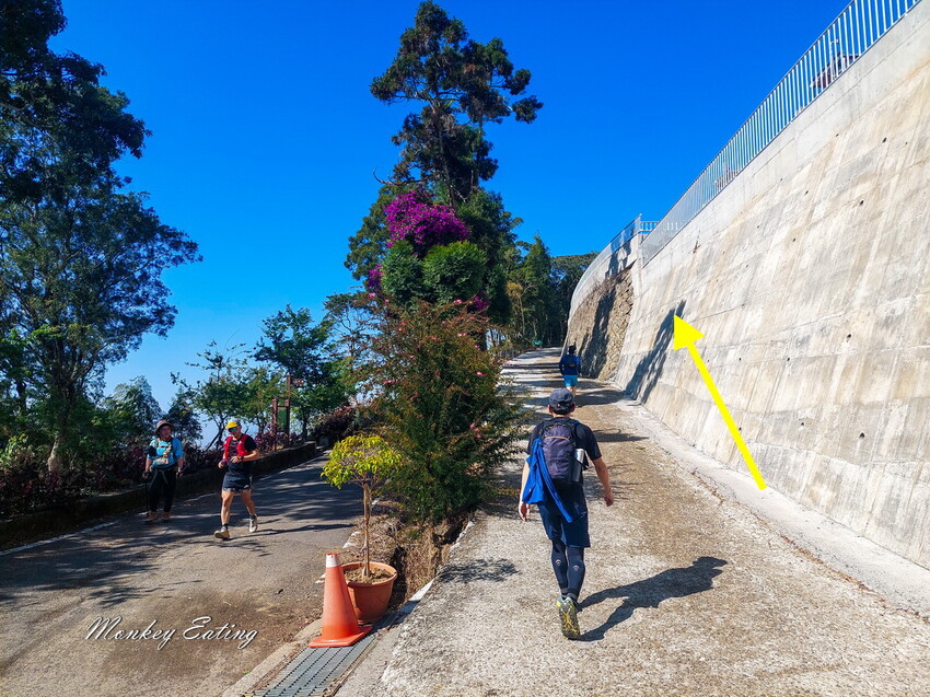 【雲嘉五連峰】漫步高山茶園的仙境小百岳,太平老街起登,連走太平山、梨子腳山、馬鞍山、二尖山、大尖山 - 貪吃猴的幻想
