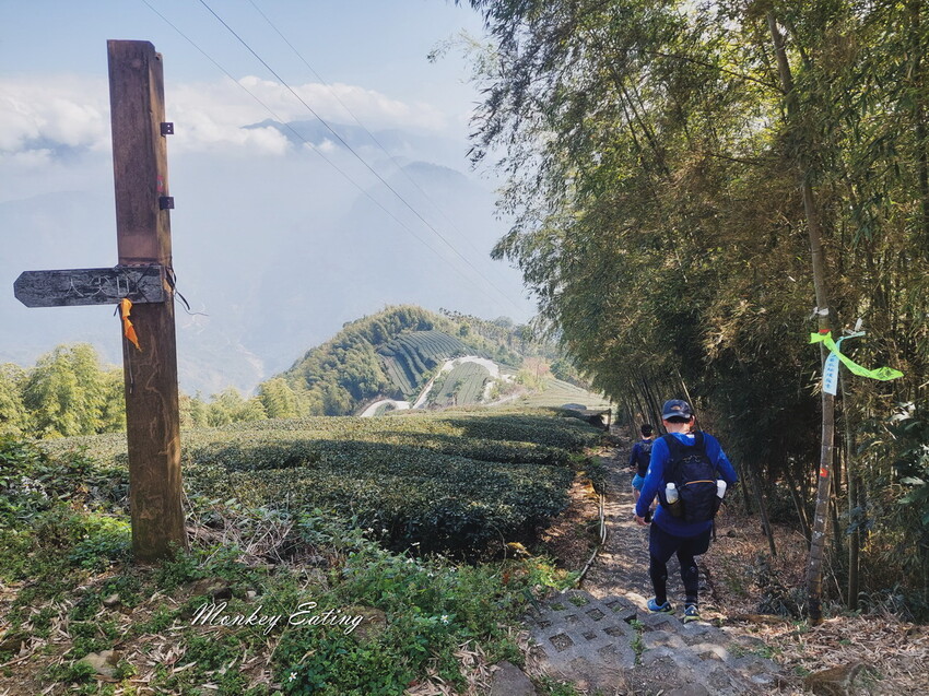 【雲嘉18連峰】嘉義雲林40K大縱走，必拍超美高山茶園。樟腦寮起登。補給點路線攻略。越野跑練習場 - 貪吃猴的幻想