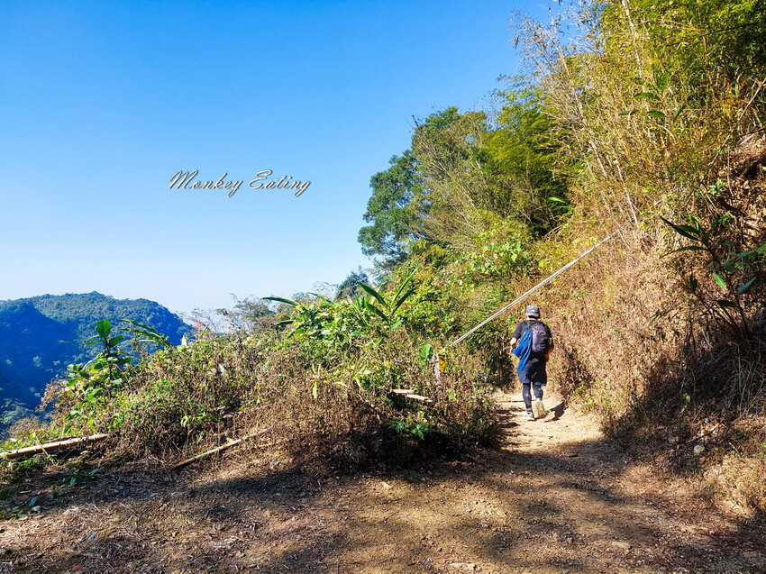 【雲嘉18連峰】嘉義雲林40K大縱走，必拍超美高山茶園。樟腦寮起登。補給點路線攻略。越野跑練習場 - 貪吃猴的幻想