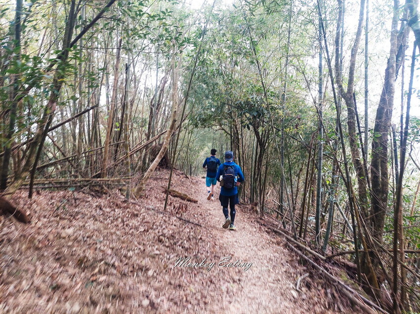 【雲嘉18連峰】嘉義雲林40K大縱走，必拍超美高山茶園。樟腦寮起登。補給點路線攻略。越野跑練習場 - 貪吃猴的幻想