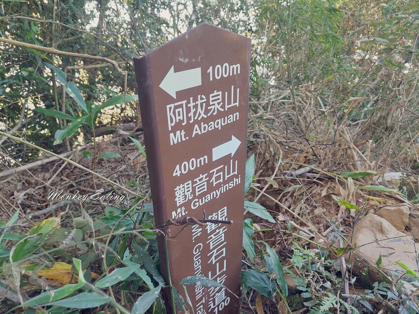 【雲嘉18連峰】嘉義雲林40K大縱走，必拍超美高山茶園。樟腦寮起登。補給點路線攻略。越野跑練習場 - 貪吃猴的幻想