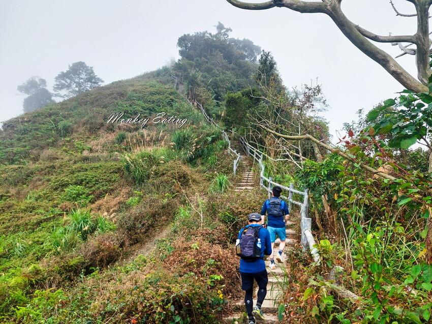 【雲嘉18連峰】嘉義雲林40K大縱走，必拍超美高山茶園。樟腦寮起登。補給點路線攻略。越野跑練習場 - 貪吃猴的幻想