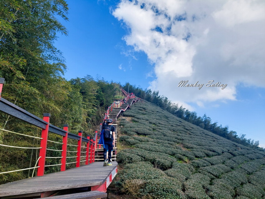 【雲嘉五連峰】漫步高山茶園的仙境小百岳,太平老街起登,連走太平山、梨子腳山、馬鞍山、二尖山、大尖山 - 貪吃猴的幻想