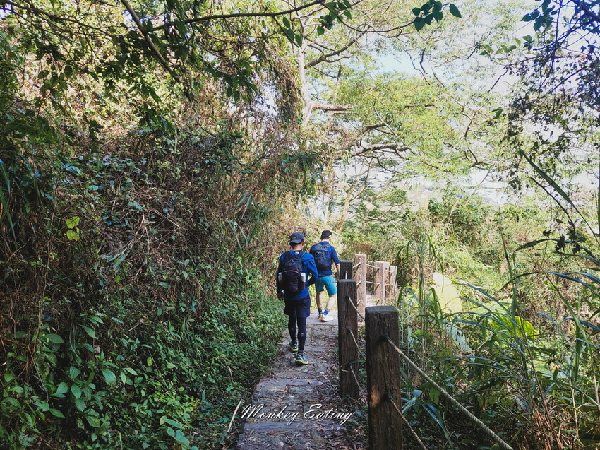 【雲嘉18連峰】嘉義雲林40K大縱走，必拍超美高山茶園。樟腦寮起登。補給點路線攻略。越野跑練習場 - 貪吃猴的幻想