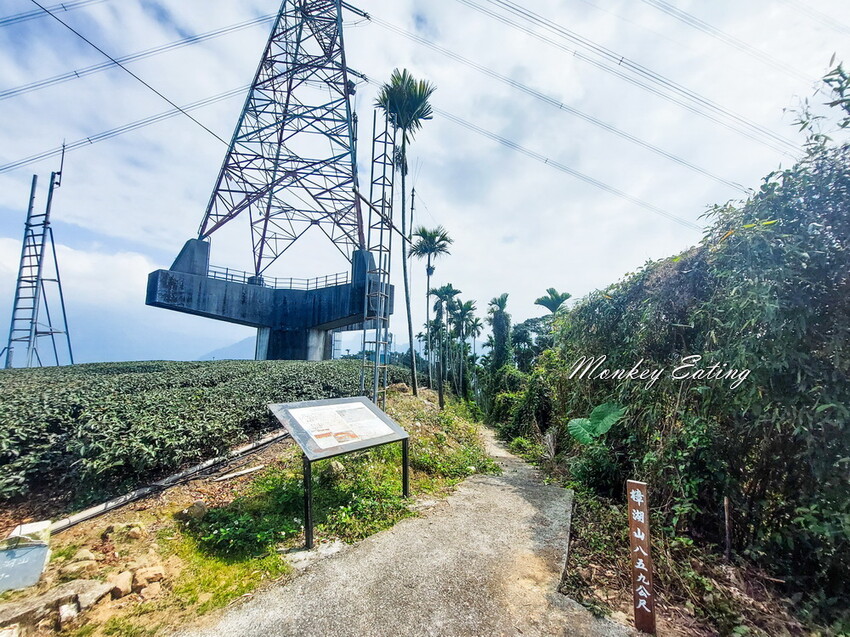 【雲嘉18連峰】嘉義雲林40K大縱走，必拍超美高山茶園。樟腦寮起登。補給點路線攻略。越野跑練習場 - 貪吃猴的幻想