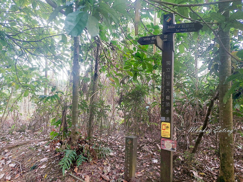 【雲嘉18連峰】嘉義雲林40K大縱走，必拍超美高山茶園。樟腦寮起登。補給點路線攻略。越野跑練習場 - 貪吃猴的幻想