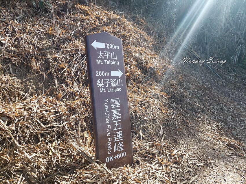 【雲嘉18連峰】嘉義雲林40K大縱走，必拍超美高山茶園。樟腦寮起登。補給點路線攻略。越野跑練習場 - 貪吃猴的幻想