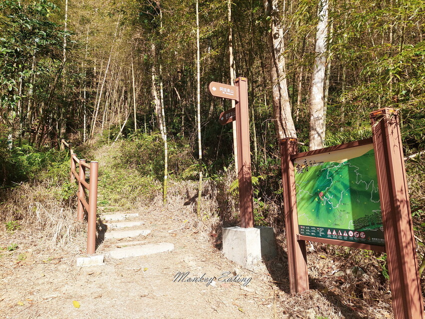 【雲嘉18連峰】嘉義雲林40K大縱走，必拍超美高山茶園。樟腦寮起登。補給點路線攻略。越野跑練習場 - 貪吃猴的幻想