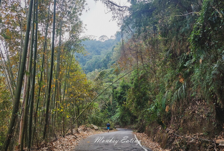 【雲嘉18連峰】嘉義雲林40K大縱走，必拍超美高山茶園。樟腦寮起登。補給點路線攻略。越野跑練習場 - 貪吃猴的幻想
