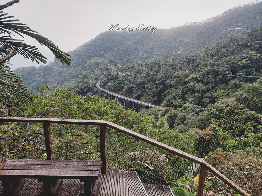 【雲嘉18連峰】嘉義雲林40K大縱走，必拍超美高山茶園。樟腦寮起登。補給點路線攻略。越野跑練習場 - 貪吃猴的幻想
