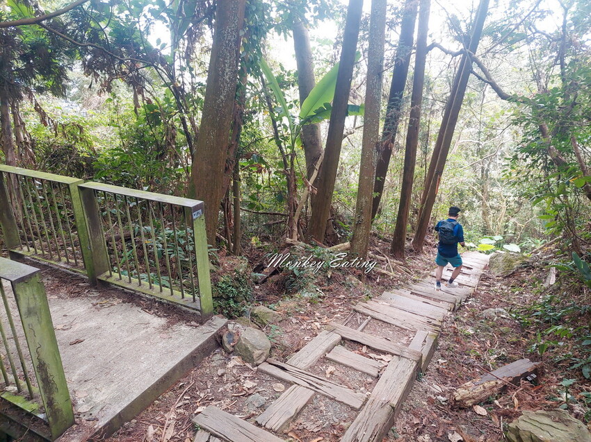 【雲嘉18連峰】嘉義雲林40K大縱走，必拍超美高山茶園。樟腦寮起登。補給點路線攻略。越野跑練習場 - 貪吃猴的幻想
