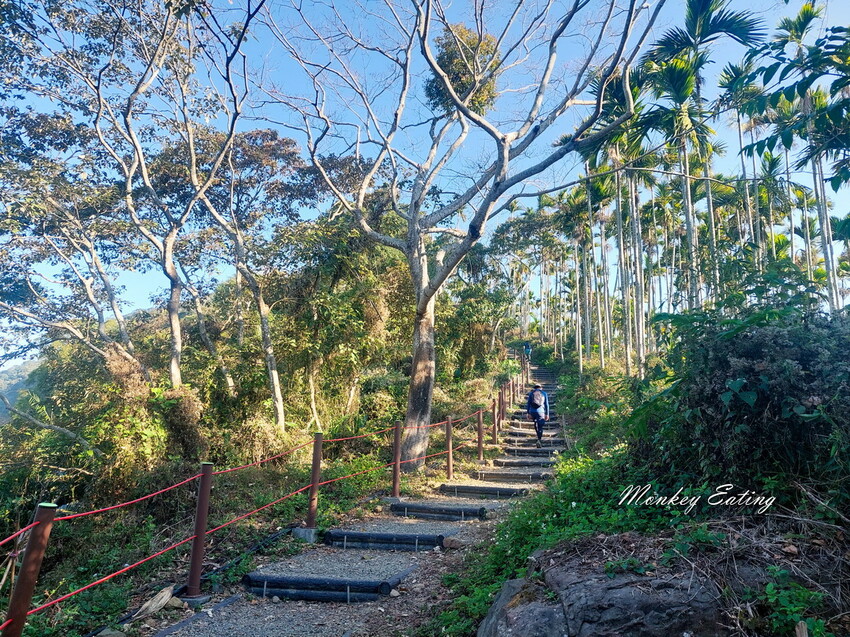 【雲嘉18連峰】嘉義雲林40K大縱走，必拍超美高山茶園。樟腦寮起登。補給點路線攻略。越野跑練習場 - 貪吃猴的幻想