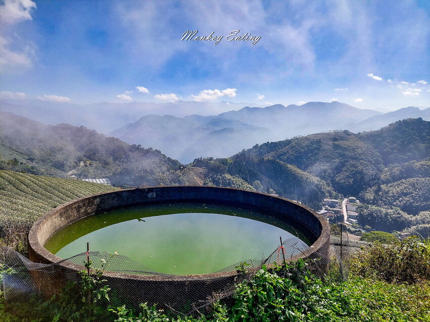 【雲嘉五連峰】漫步高山茶園的仙境小百岳,太平老街起登,連走太平山、梨子腳山、馬鞍山、二尖山、大尖山 - 貪吃猴的幻想