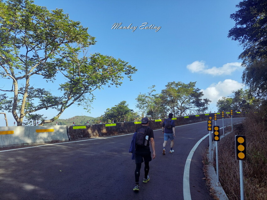 【雲嘉18連峰】嘉義雲林40K大縱走，必拍超美高山茶園。樟腦寮起登。補給點路線攻略。越野跑練習場 - 貪吃猴的幻想