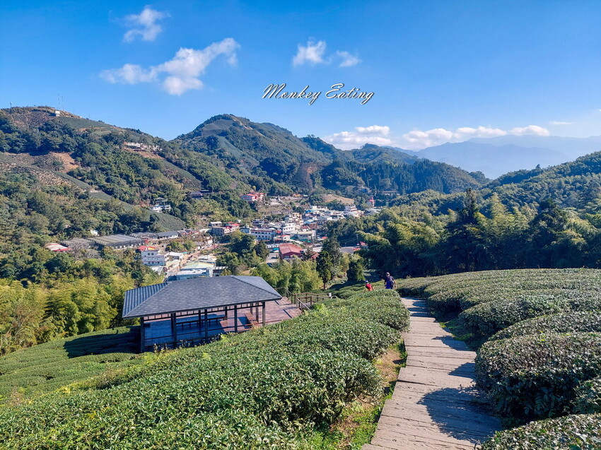 【雲嘉18連峰】嘉義雲林40K大縱走，必拍超美高山茶園。樟腦寮起登。補給點路線攻略。越野跑練習場 - 貪吃猴的幻想