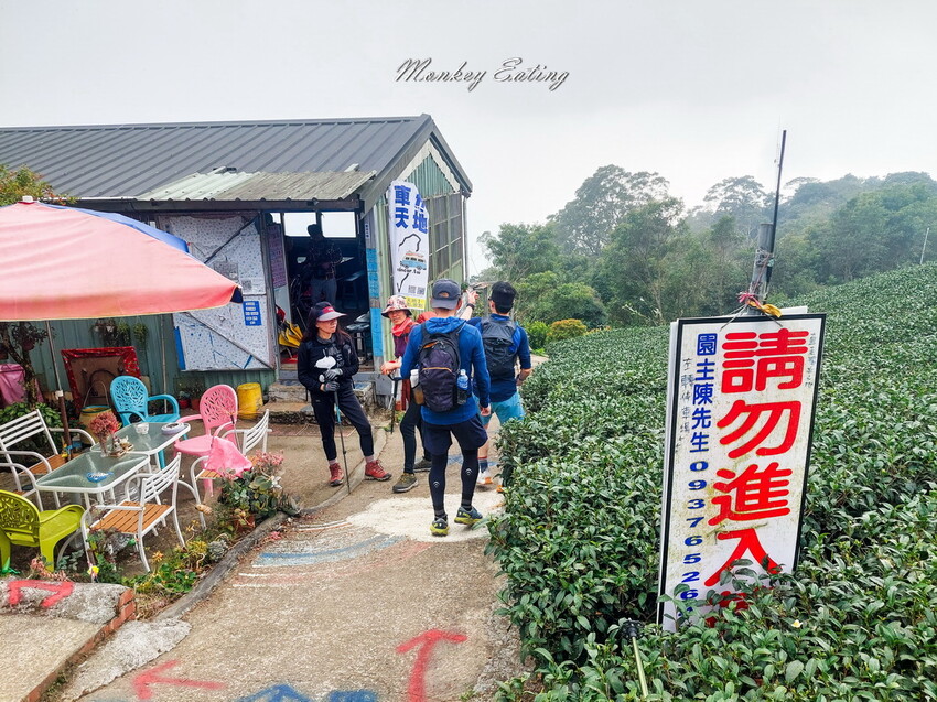 【雲嘉18連峰】嘉義雲林40K大縱走，必拍超美高山茶園。樟腦寮起登。補給點路線攻略。越野跑練習場 - 貪吃猴的幻想