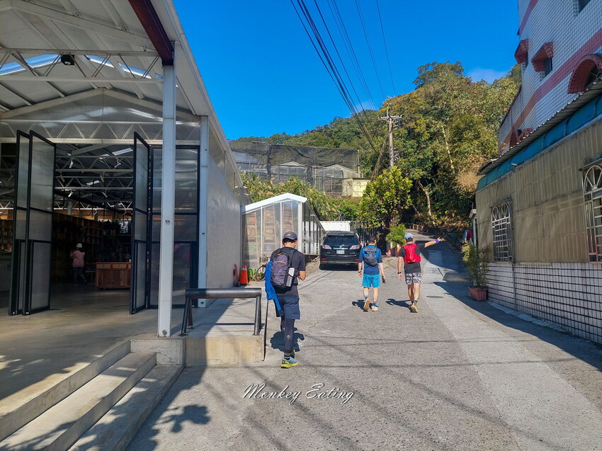 【雲嘉五連峰】漫步高山茶園的仙境小百岳,太平老街起登,連走太平山、梨子腳山、馬鞍山、二尖山、大尖山 - 貪吃猴的幻想