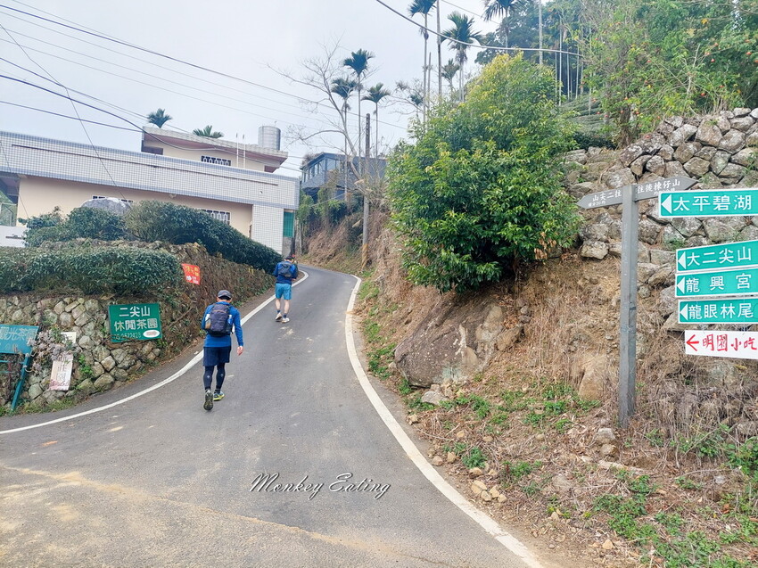 【雲嘉18連峰】嘉義雲林40K大縱走，必拍超美高山茶園。樟腦寮起登。補給點路線攻略。越野跑練習場 - 貪吃猴的幻想