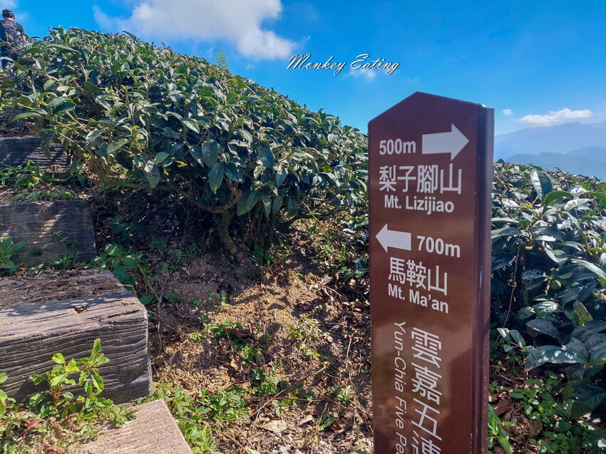 【雲嘉五連峰】漫步高山茶園的仙境小百岳,太平老街起登,連走太平山、梨子腳山、馬鞍山、二尖山、大尖山 - 貪吃猴的幻想
