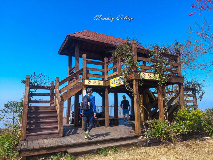 【雲嘉18連峰】嘉義雲林40K大縱走，必拍超美高山茶園。樟腦寮起登。補給點路線攻略。越野跑練習場 - 貪吃猴的幻想