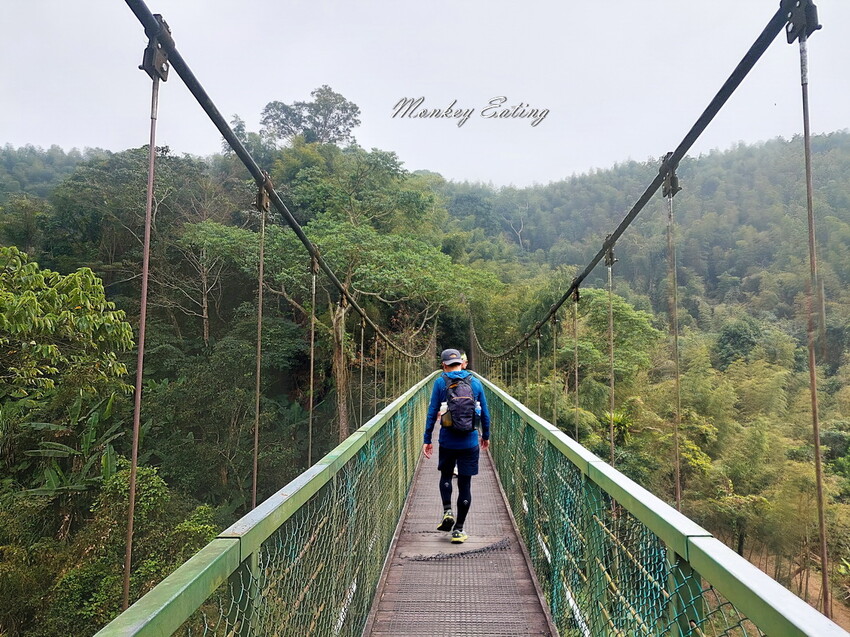 【雲嘉18連峰】嘉義雲林40K大縱走，必拍超美高山茶園。樟腦寮起登。補給點路線攻略。越野跑練習場 - 貪吃猴的幻想